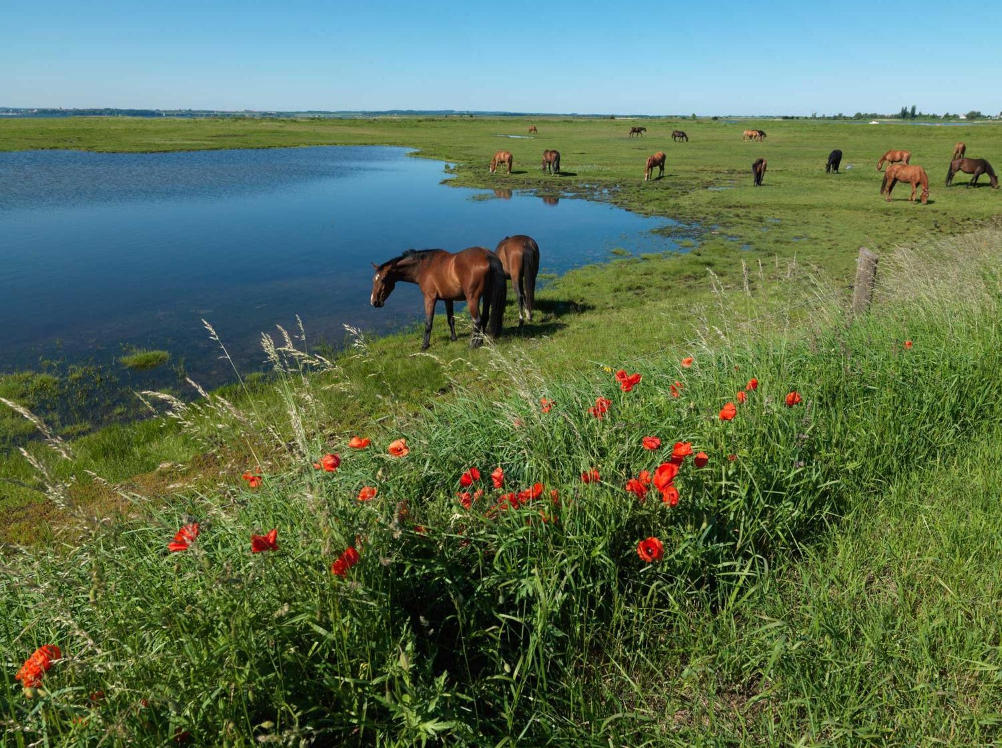 Апартаменты Luett Kajuet - Fip Park Остров Пёль Экстерьер фото